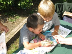 What the heck is that?! Teaching kids about insects and the many ways bugs benefit us can help them understand that not all insects are scary or icky.