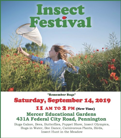Insect Fest