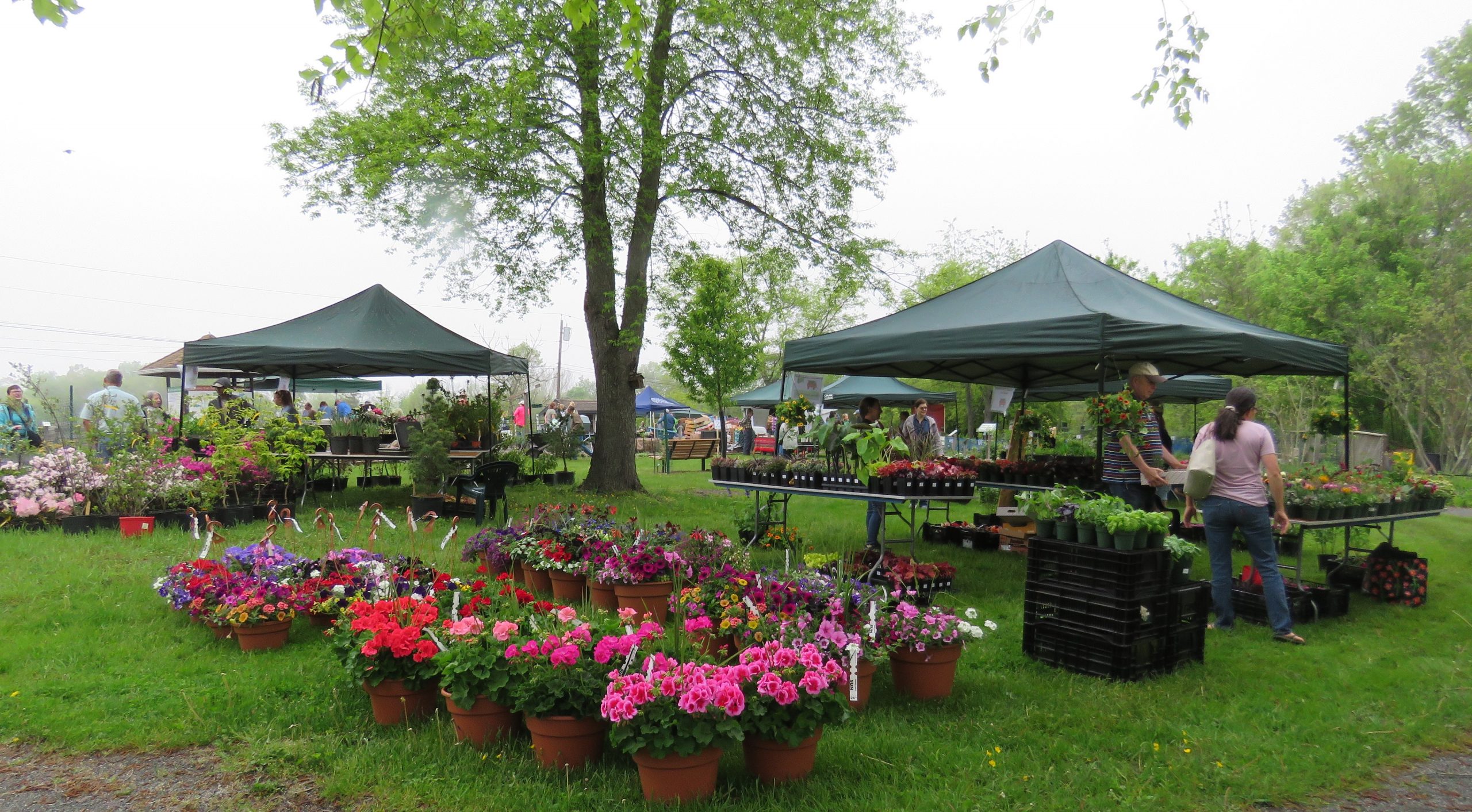 Plant Expo 2023 – Rutgers Master Gardeners of Mercer County