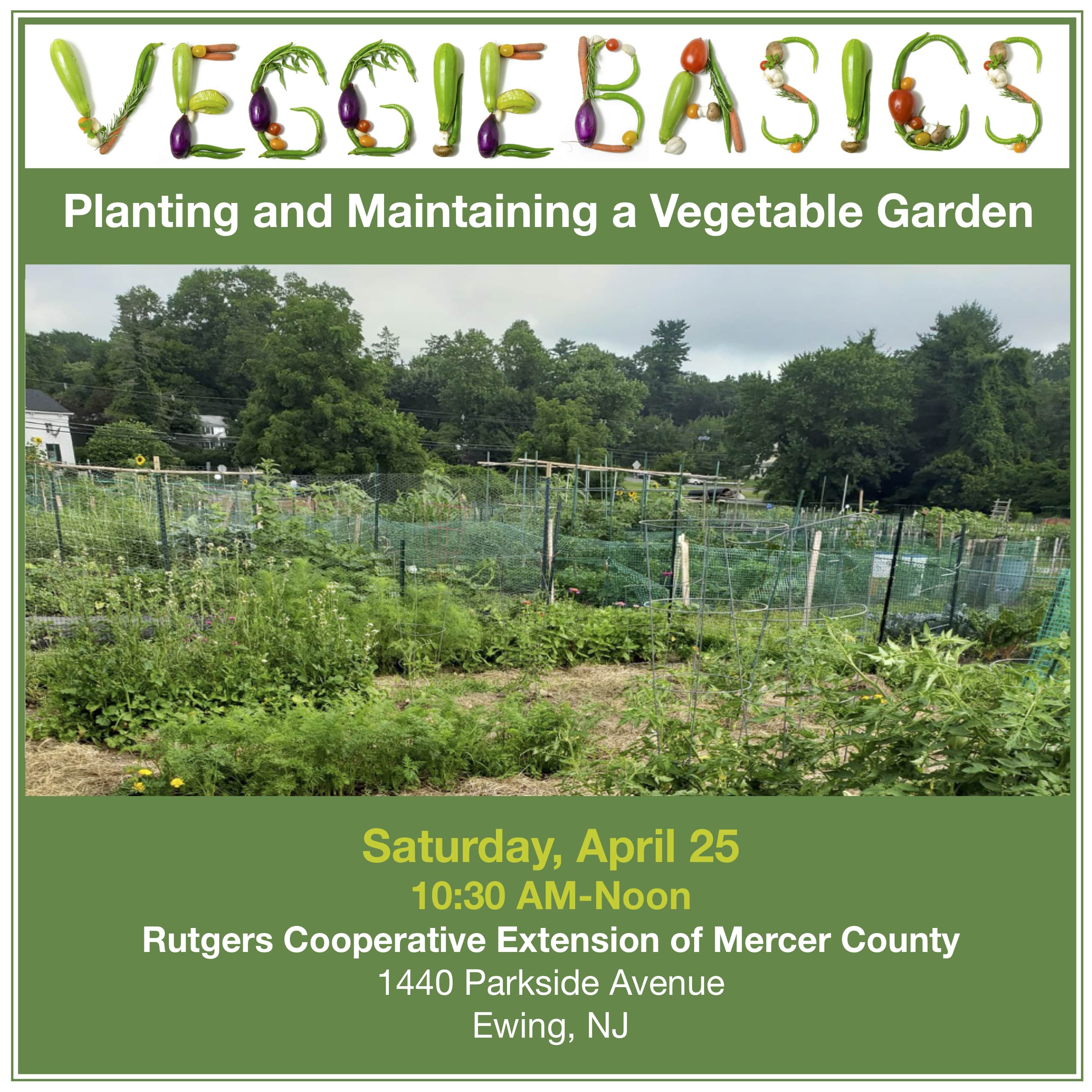 Planting & Maintaining a Vegetable Garden