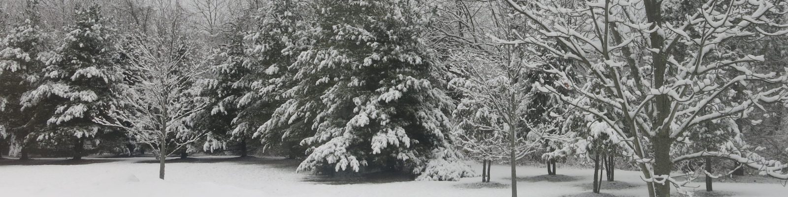 Blanket of Snow