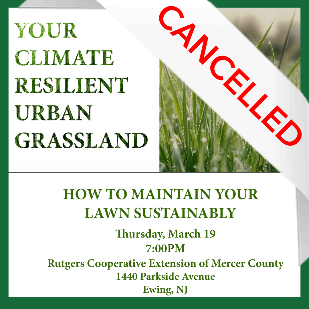 Climate Resilient Urban Grassland
